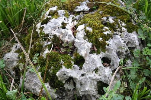 Выветренный известняк со мхом фр. 100-500 мм.