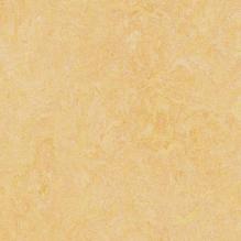 Линолеум Forbo Marmoleum Fresco 3846 natural corn
