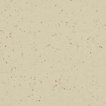 Линолеум Forbo Marmoleum Solid Cocoa 3584/358435 white chocolate